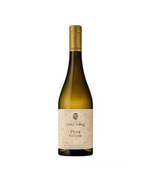 Riesling Alto Adige DOC Hochkofler 2020 - Cantina Bolzano