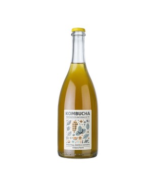 Kombucha N.1 Riesling - Torti [0.75 lt]