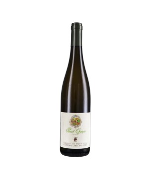 Pinot Grigio Alto Adige DOC 2024 - Abbazia di Novacella