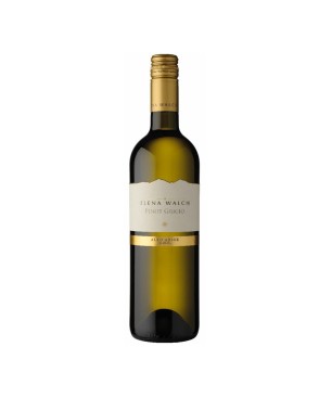 Pinot Grigio Alto Adige DOC 2024 - Elena Walch
