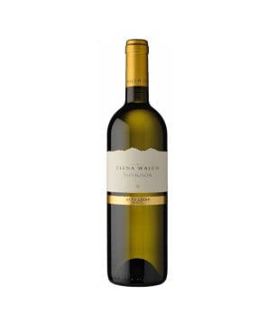 Sauvignon Alto Adige DOC 2024 - Elena Walch
