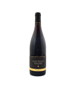 Pinot Nero Alto Adige DOC 2024 - Elena Walch