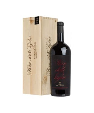 Brunello di Montalcino DOCG Pian delle Vigne 2020 - Antinori [Magnum, astucciata]
