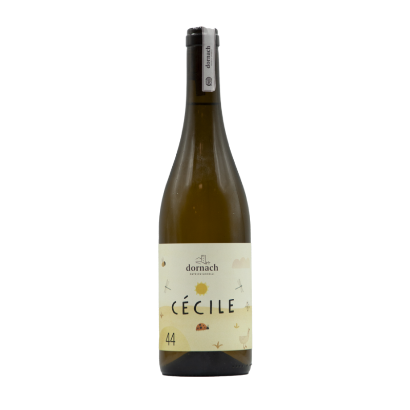 Vino Bianco Biologico Mitterberg Cécile 58 2024 - Dornach Patrick Uccelli