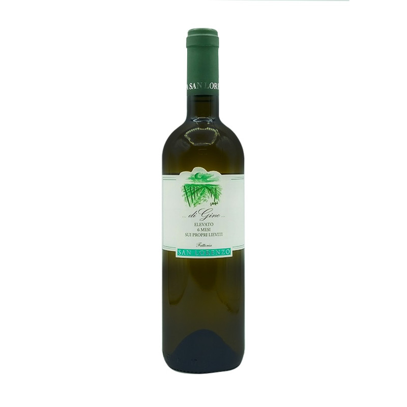 Bianco Marche IGT Di Gino 2024 - Fattoria San Lorenzo