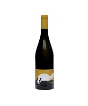 Timorasso Colli Tortonesi DOC Derthona 2023 - Oltretorrente