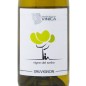 Sauvignon del Molise DOC Lame del Sorbo 2022 - Vinica
