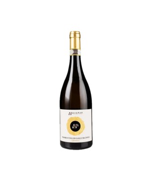 Vermentino di Gallura Superiore Riserva DOCG 2023 - Olianas