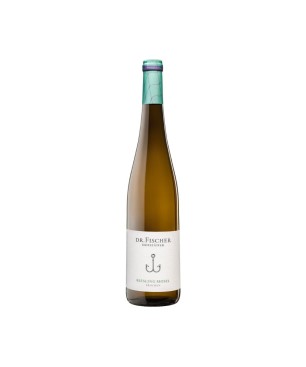 Riesling Mosel Dr. Fischer Trocken 2024 - Hofstatter