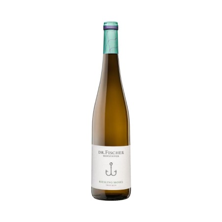 Riesling Mosel Dr. Fischer Trocken 2024 - Hofstatter