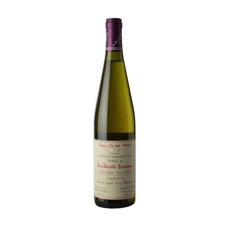 Bianco Secco Veneto IGT 2024 - Quintarelli