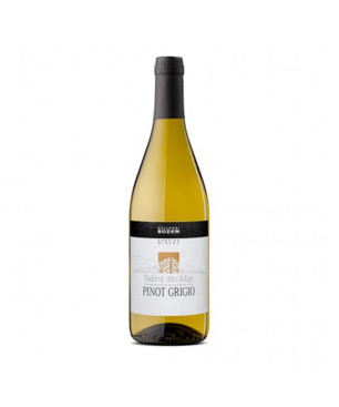 Pinot Grigio Alto Adige DOC 2024 - Cantina Bolzano