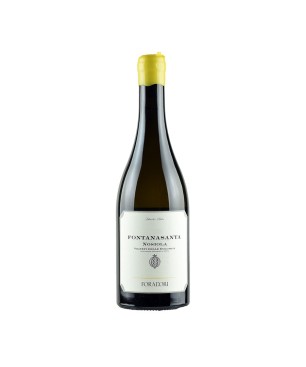 Nosiola Vigneti delle Dolomiti IGT Fontanasanta 2024 - Foradori