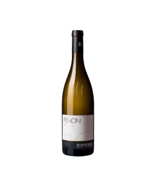 Pinot Grigio Alto Adige DOC Penon 2023 - Kurtatsch