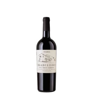 Cabernet Colli Berici DOC Bradisismo 2021 - Inama