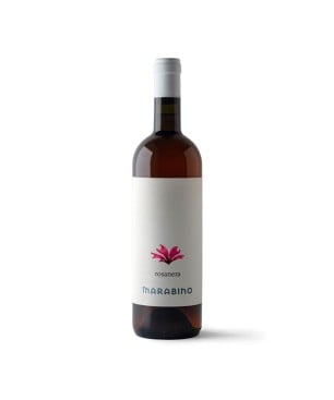 Nero d'Avola Rosato Terre Siciliane IGT Rosa Nera 2024 - Marabino