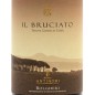 Il Bruciato Bolgheri Rosso DOC Guado al Tasso 2024 - Antinori