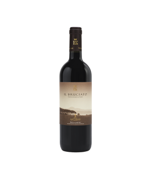 Il Bruciato Bolgheri Rosso DOC Guado al Tasso 2024 - Antinori