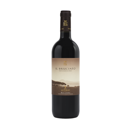 Il Bruciato Bolgheri Rosso DOC Guado al Tasso 2024 - Antinori