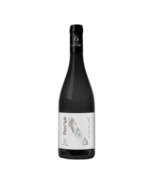 Pinot Noir Toscana IGT 2023 - Podere Concori