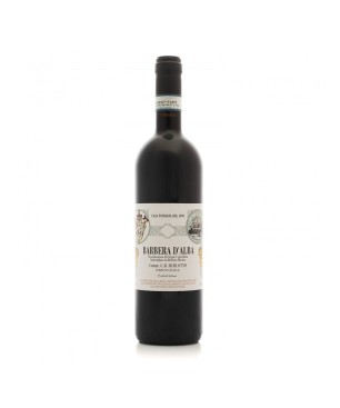 Barbera d'Alba DOC 2024 - Burlotto