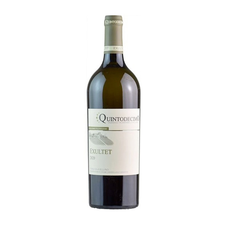 Fiano di Avellino DOCG Exultet 2024 - Quintodecimo