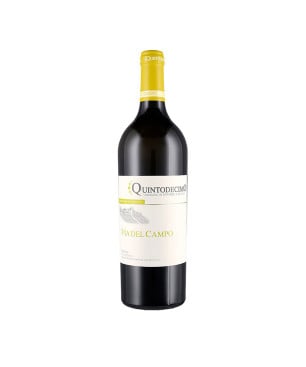 Falanghina Irpinia DOC Via del campo 2024 - Quintodecimo