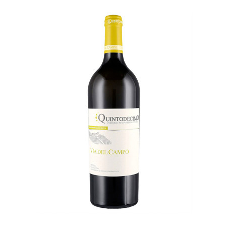 Falanghina Irpinia DOC Via del campo 2024 - Quintodecimo