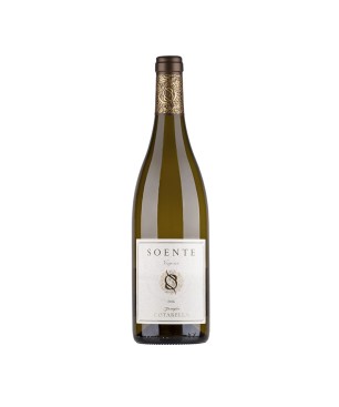 Viognier Lazio IGP Soente 2024 - Falesco Cotarella