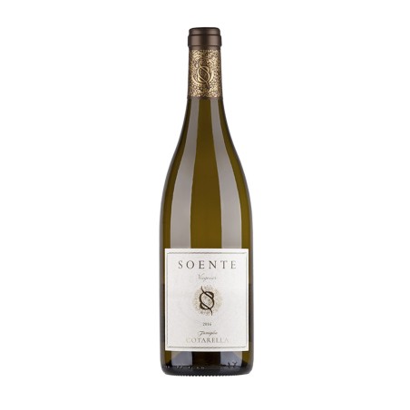 Viognier Lazio IGP Soente 2024 - Falesco Cotarella