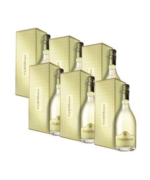 Franciacorta DOCG Extra Brut Cuveè Prestige Edizione 48 - Ca' del Bosco [Box di 6 bottiglie astucciate]