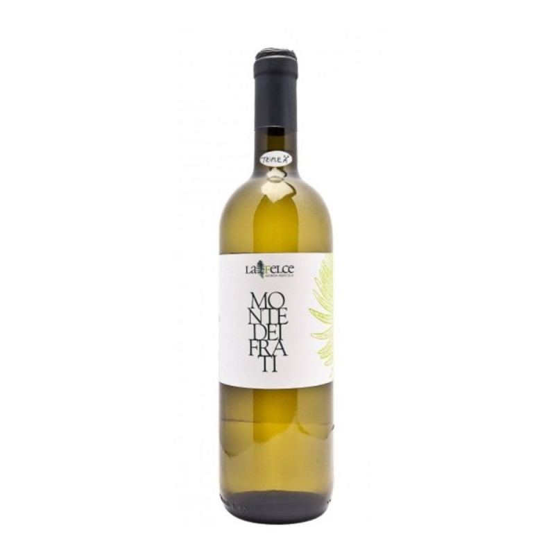 Colli di Luni Vermentino Monte dei Frati 2024 - La Felce Colli di Luni Vermentino Monte dei Frati 2024 - La Felce