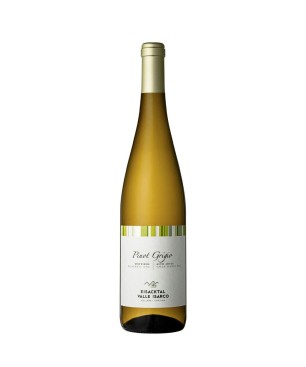 Pinot Grigio Valle Isarco DOC 2024 - Valle Isarco