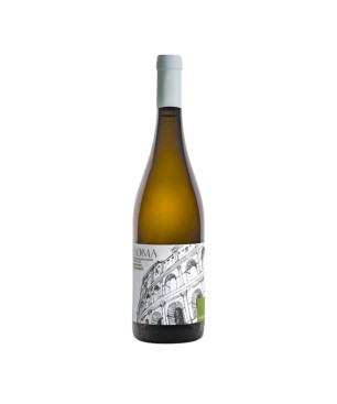 Malvasia Puntinata Roma DOC Bianco 2024 - Federici