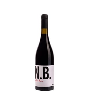 Nero Buono Lazio Rosso IGP 2024 - Federici