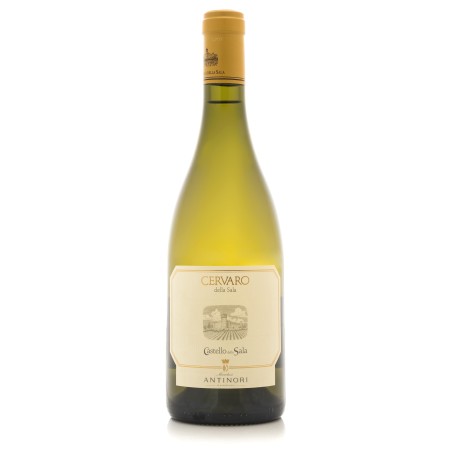 Cervaro della Sala Umbria IGT Castello della Sala 2024 - Antinori