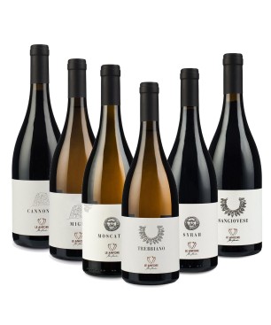 Box Degustazione Le Anfore - Elena Casadei [6 bot]