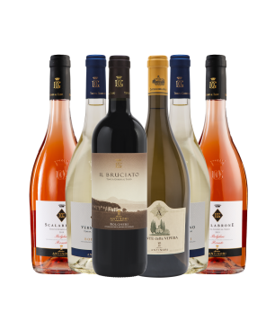 Box Degustazione Antinori [6 bottiglie]