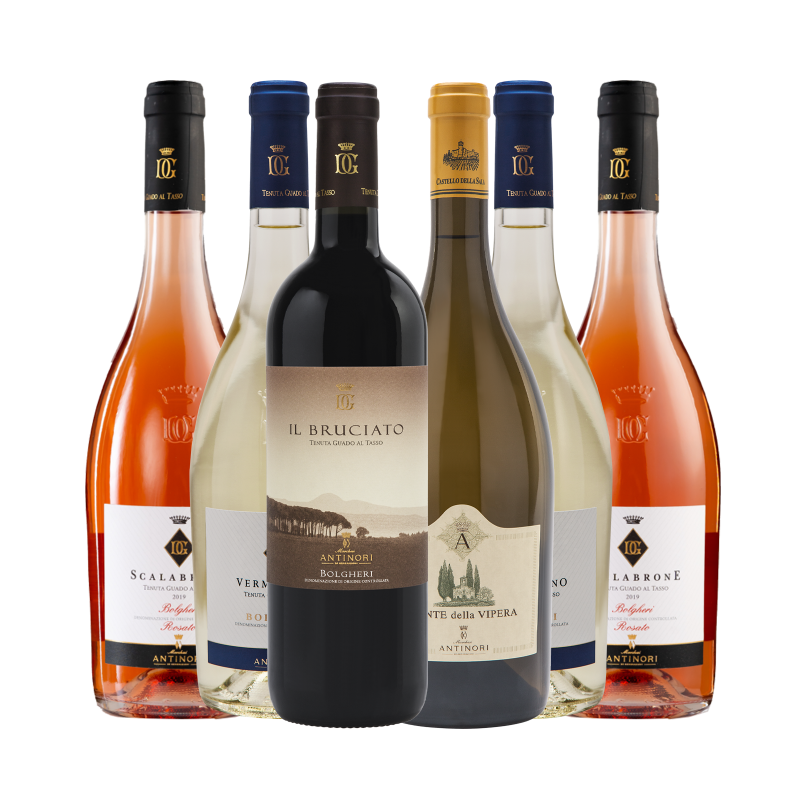 Box Degustazione Antinori [6 bottiglie]
