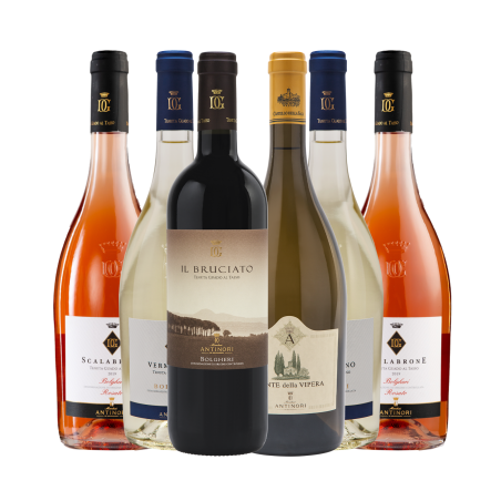 Box Degustazione Antinori [6 bottiglie]