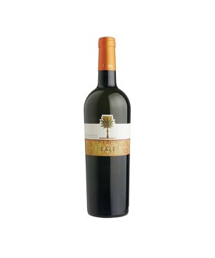 Zibibbo Terre Siciliane IGT Taif 2025 - Cantine Fina