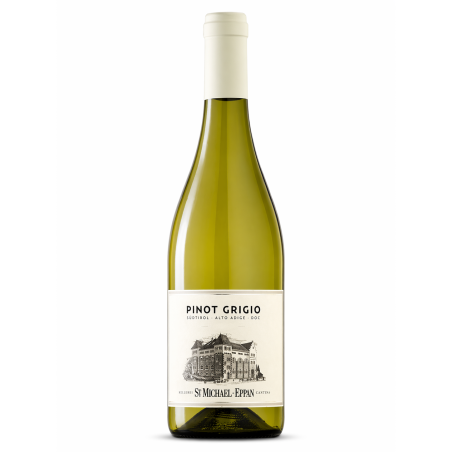 Pinot Grigio Alto Adige DOC 2025 - San Michele Appiano