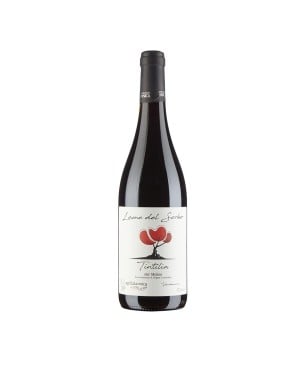 Tintilia del Molise DOC Lame del Sorbo 2021 - Vinica