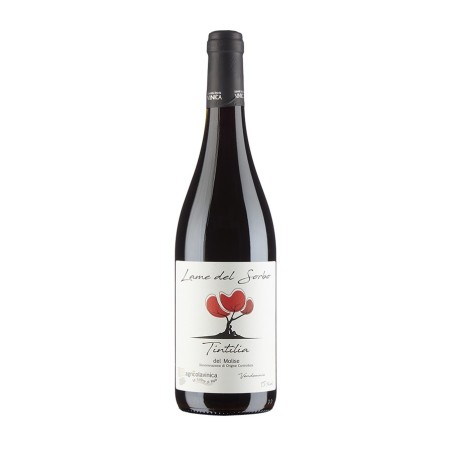 Tintilia del Molise DOC Lame del Sorbo 2021 - Vinica
