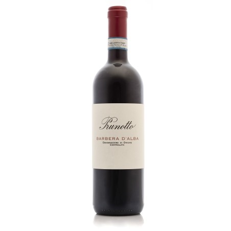 Barbera d'Alba DOC 2025 - Prunotto