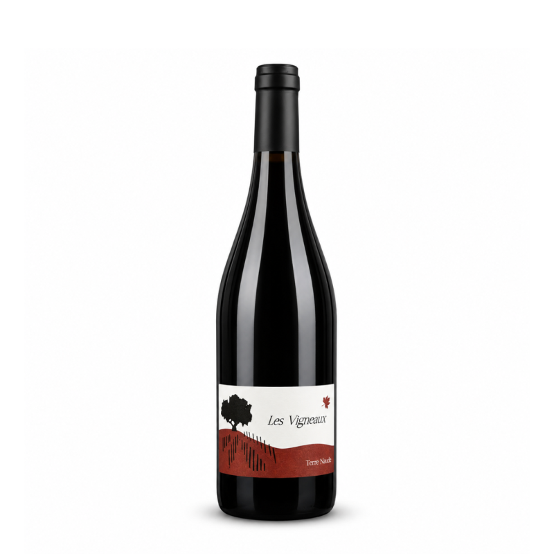 Syrah Terre Natale 2024 - Domaine de Vigneaux