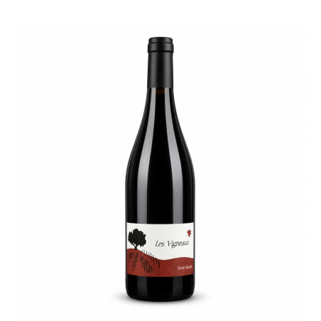 Syrah Terre Natale 2024 - Domaine de Vigneaux