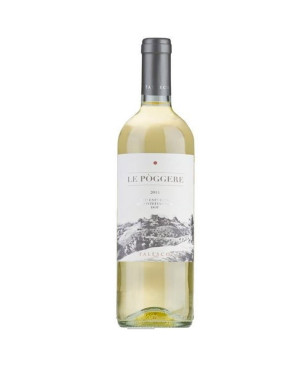 Est! Est!! Est!!! Classico di Montefiascone DOP Poggio dei Gelsi 2025 - Falesco Cotarella
