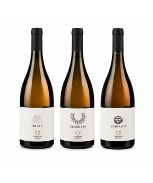 Box Degustazione Bianchi Le Anfore - Elena Casadei [3 bot]