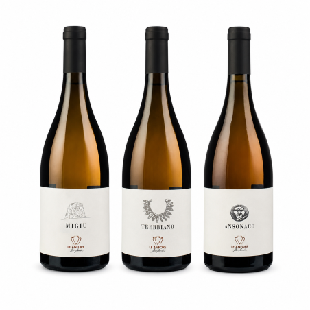 Box Degustazione Bianchi Le Anfore - Elena Casadei [3 bot]